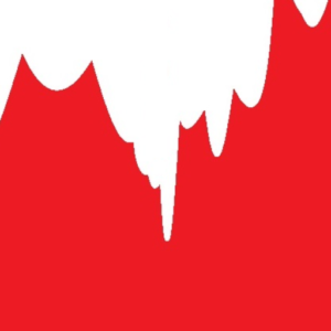 最初のパートナー